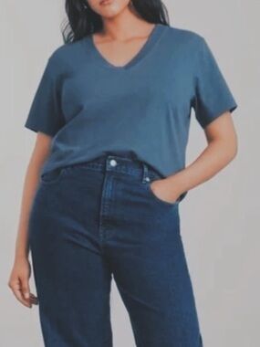 Everlane The Vintage V-Neck Hemp Tee